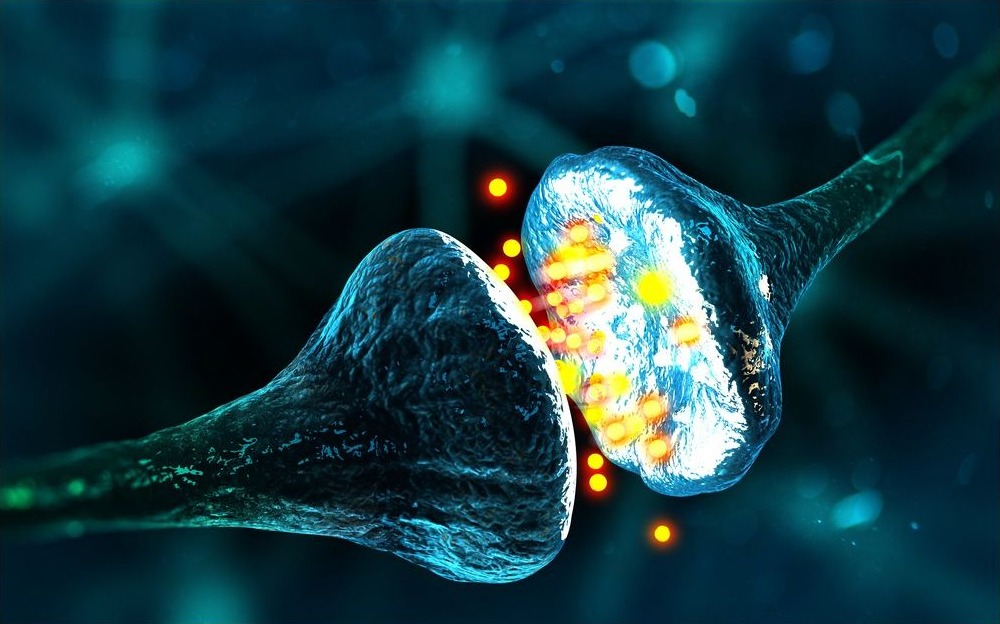Cover graphic for The Reward Function in New AI Models Series GPT o1/o3, Neurobiology and Dopamine